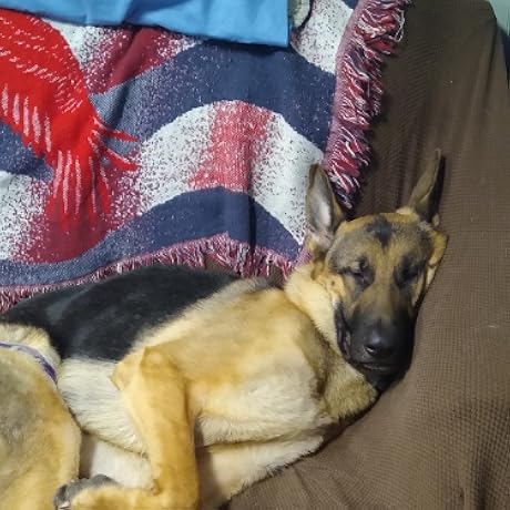 <strong>Seer T.</strong>